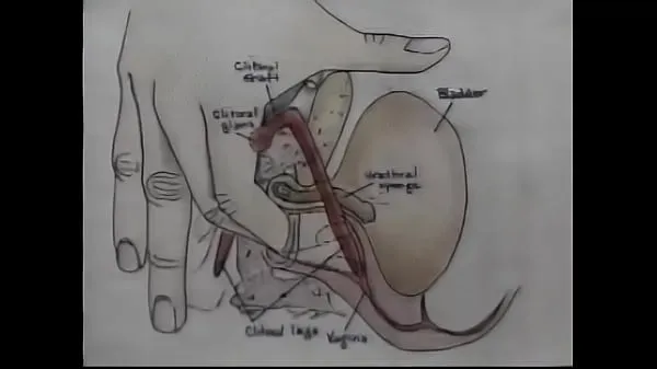 Tubo de unidad Video de entrenamiento de orgasmos de educación sexual nuevo