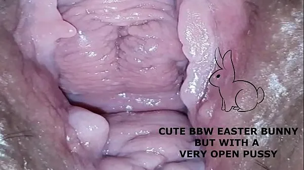 신선한 Cute bbw bunny, but with a very open pussy 드라이브 튜브