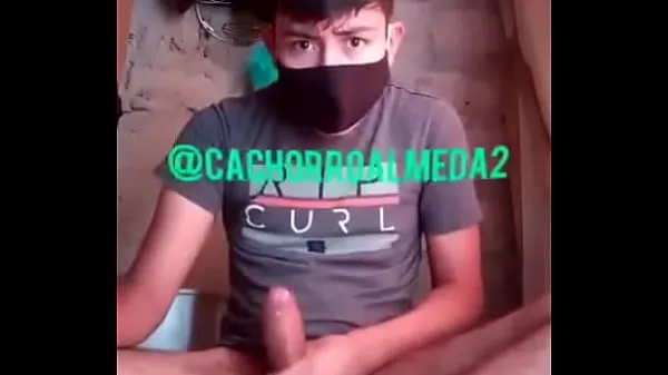 أنبوب محرك chico caliente جديد